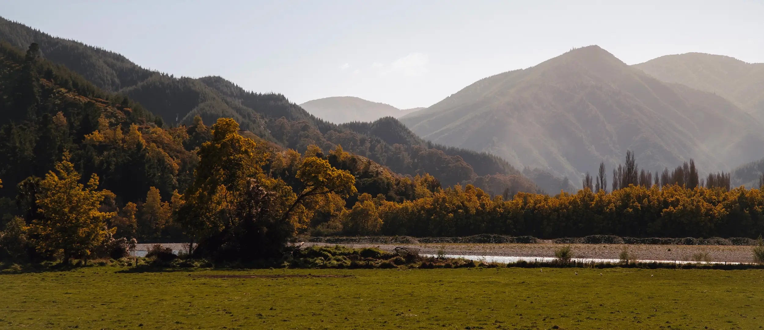 Stunning Views form the Balvonie Vineyard in Marlborough, NZ